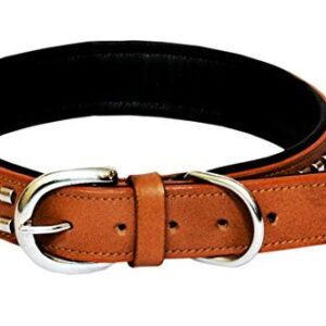 Dog leather collar with designer studs