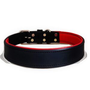 Genuine Leather Premium Padded Dog Collar