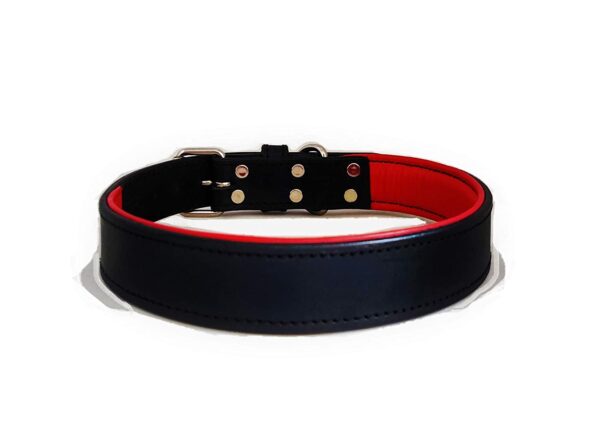 Genuine Leather Premium Padded Dog Collar