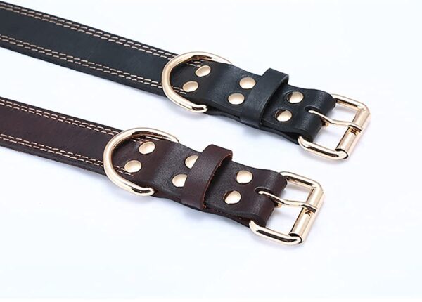 Leather Dog Collar , Well Cushioned