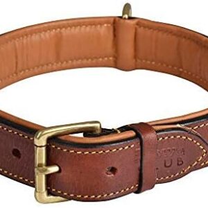 genuine leather dog collar full grain